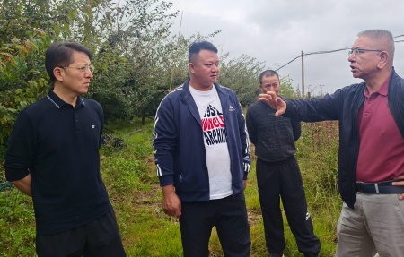 ΢ͼƬ_20251013162026_382_235